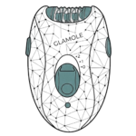 Epilators & Women's Grooming